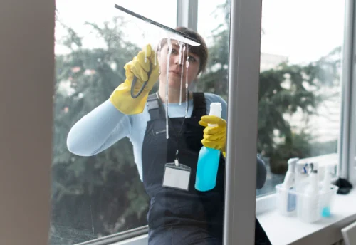 Nettoyage de vitres intérieures et extérieures à Lyas